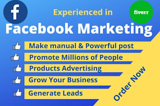 do facebook marketing and promotion your business  world wide