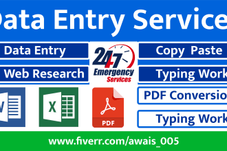 do data entry, copy paste and excel data entry work for you