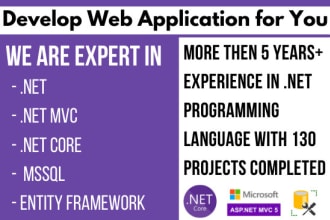 develop custom web application on asp net mvc, asp net core