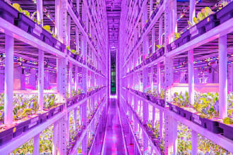 write on hydroponics, landscape and horticulture