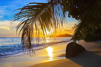 provide my ready tropical house music for your business