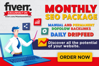 do complete off page monthly SEO service for google ranking