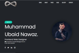 develope website and web applications using php laravel vuejs