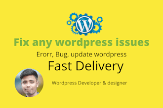 fix wordpress issues,  bug, error, update wordpress website