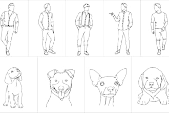 draw detailed or simple line art illustration for you