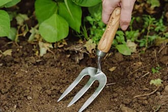 write a superb article on gardening