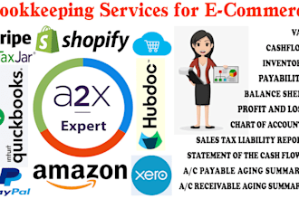 provide bookkeeping service for amazon shopify and ebay