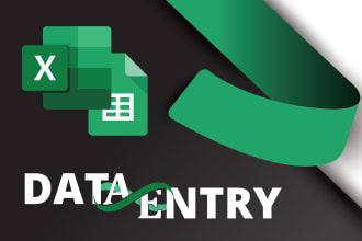 do data entry work in excel and google sheet