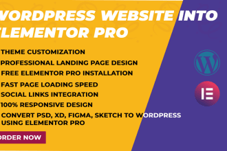 convert your wordpress website into elementor pro