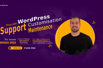 provide wordpress support or customisation