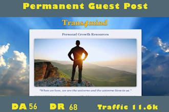 provide guest post on trans4mind