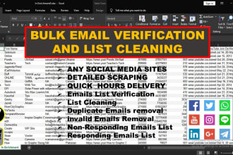 provide bulk email verification and list cleaning in 24 hours