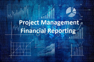 do project management financial analysis and reporting services