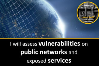 assess vulnerabilities on public networks and exposed services