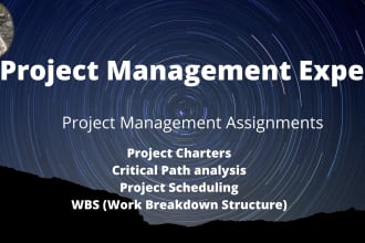 do your project management assignments