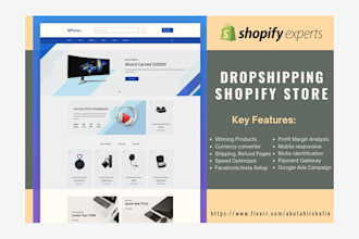 build a profitable shopify dropshipping store