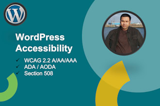 perform accessibility and wcag on wordpress website