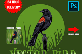 draw your bird into cartoon vector 24 hours