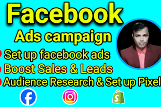 run facebook marketing, fb, and instagram ads campaign