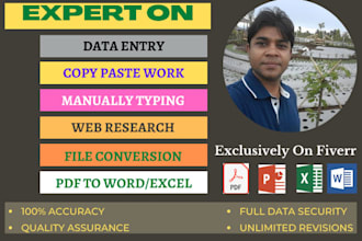 do manual typing, data entry and copy paste