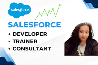 be your all in one salesforce developer administrator trainer and consultant