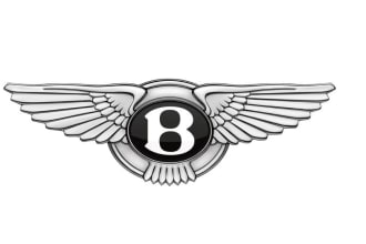 do modern high quality gorgeous car logo with unlimited revision