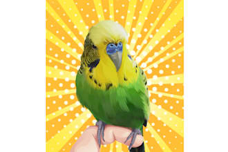 draw a pet vector from your pet photo