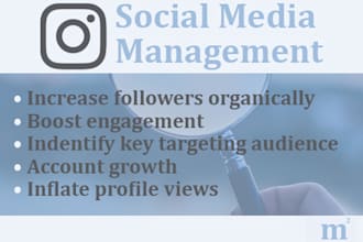 organically grow your instagram account