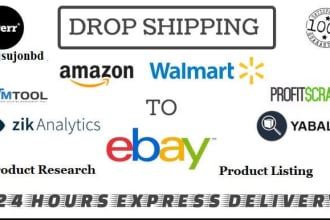 do walmart to ebay dropshipping hot selling product listings