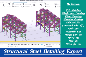 do professional structural steel detailing work in tekla