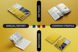 do annual report, company profile, brochure design for you