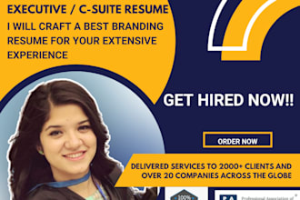 craft a c suite and vp resume, cover letter, and linkedin