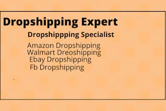 be your amazon dropshiping VA