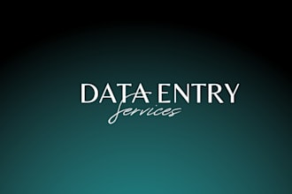 do fast and perfect deta entry and web research