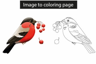 convert your photos into a coloring book pages