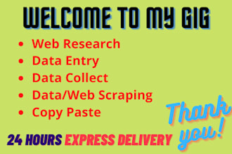 do data entry web research and web scraping
