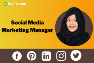 manage your social media accounts and increase organic followers