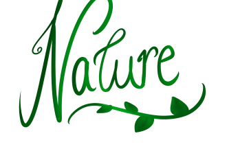 transform any word or phrase in a lettering art