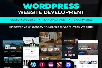 develop, debug, and customize your wordpress website professionally