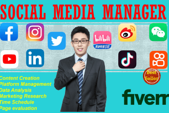 set up, manage and optimize your social media in china