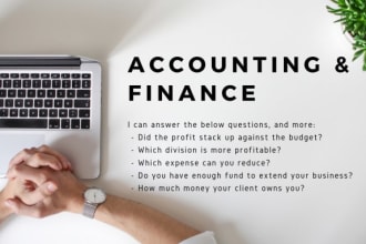 create financial statements, do accounting tasks
