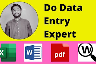 do data entry services, excel data entry expert