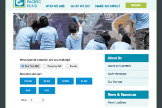 design fundraising or donation or charity website in 4 days
