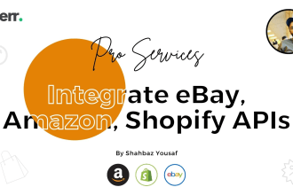 be integrating api and sdk for you like ebay amazon shopify