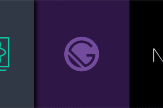 develop your web application in reactjs nextjs gatsby