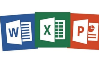 provide professional work on ms word, powerpoint and excel