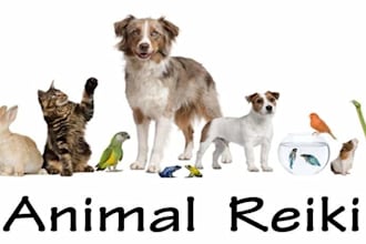 do reiki healing for pets and animals