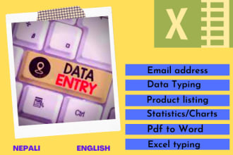 do excel data entry  and type data