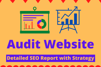 audit your website and make a detailed SEO report