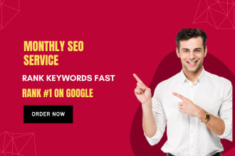 provide complete monthly SEO service with link building